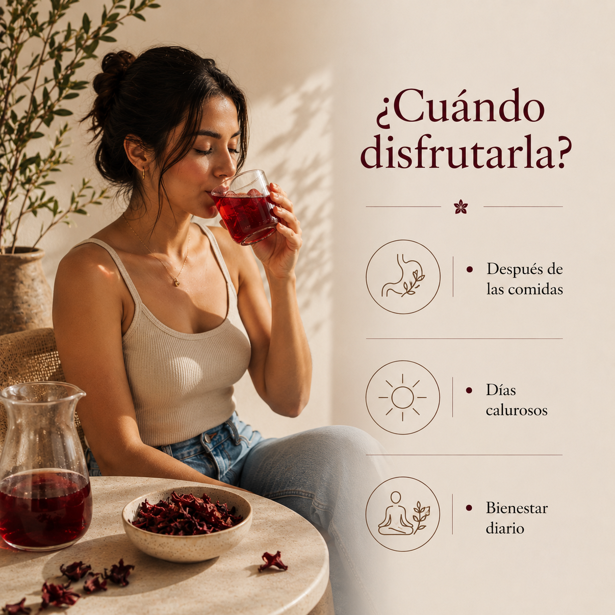 🌺 Flor de Jamaica Seca – Infusión Natural Refrescante