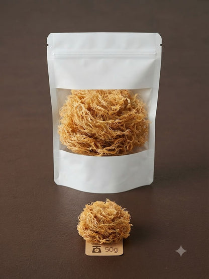 Sea Moss (Musgo Marino)