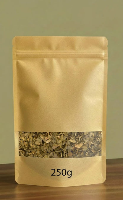Ginkgo Biloba