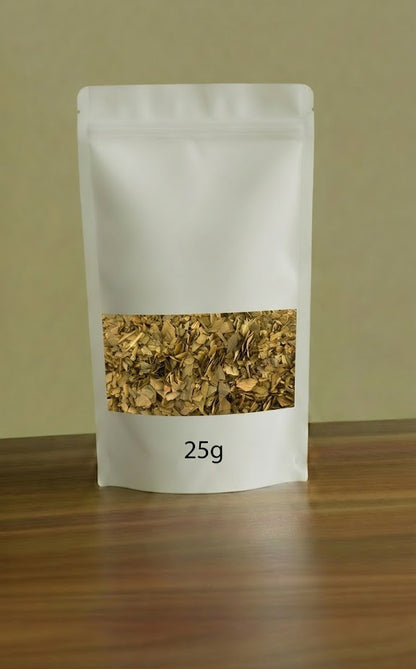 Ginkgo Biloba