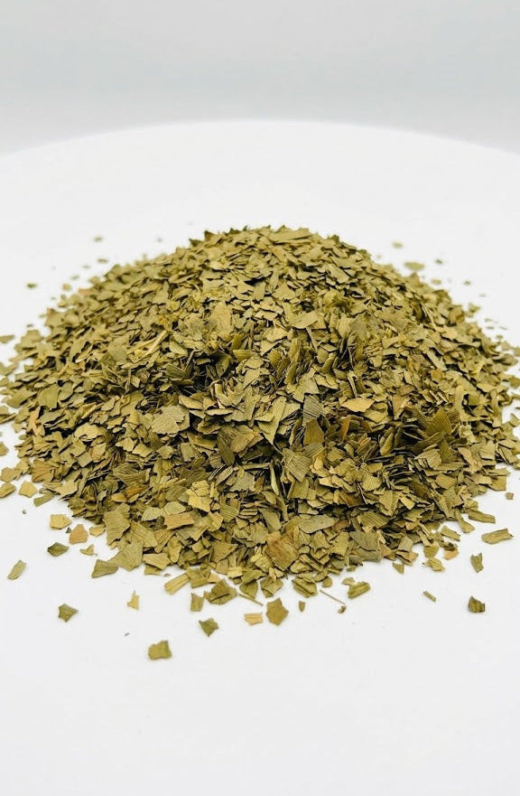 Ginkgo Biloba
