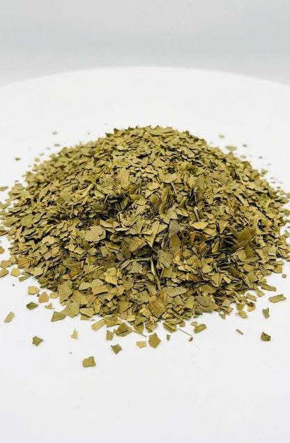Ginkgo Biloba