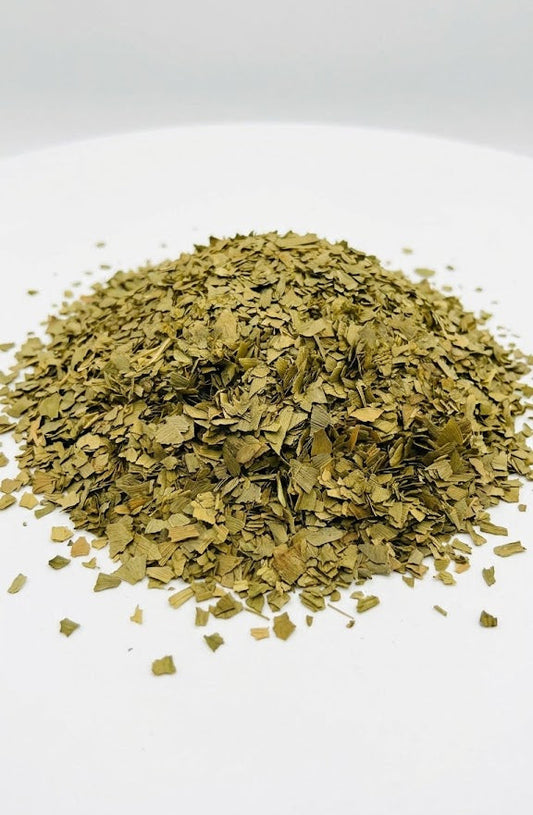 Ginkgo Biloba