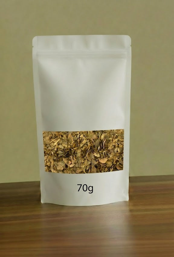 Ginkgo Biloba