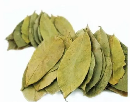 Hojas de guanábana para infusión