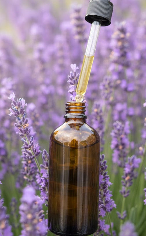 Aceite de Lavanda orgánico
