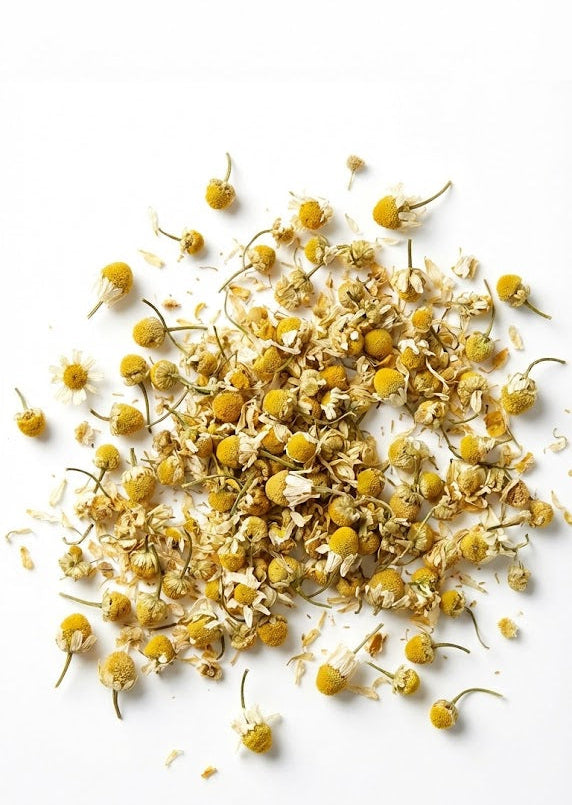 Manzanilla para infusion