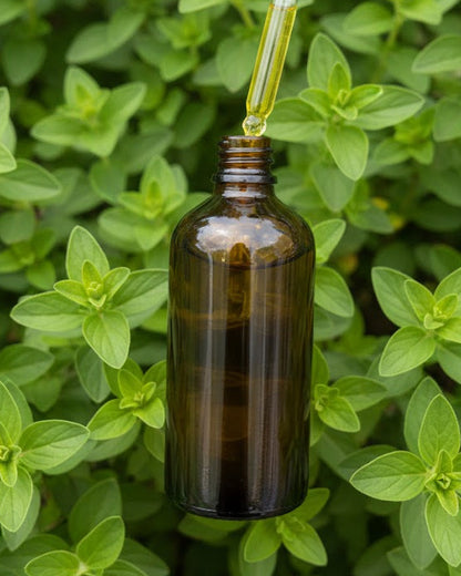 Aceite de Orégano orgánico