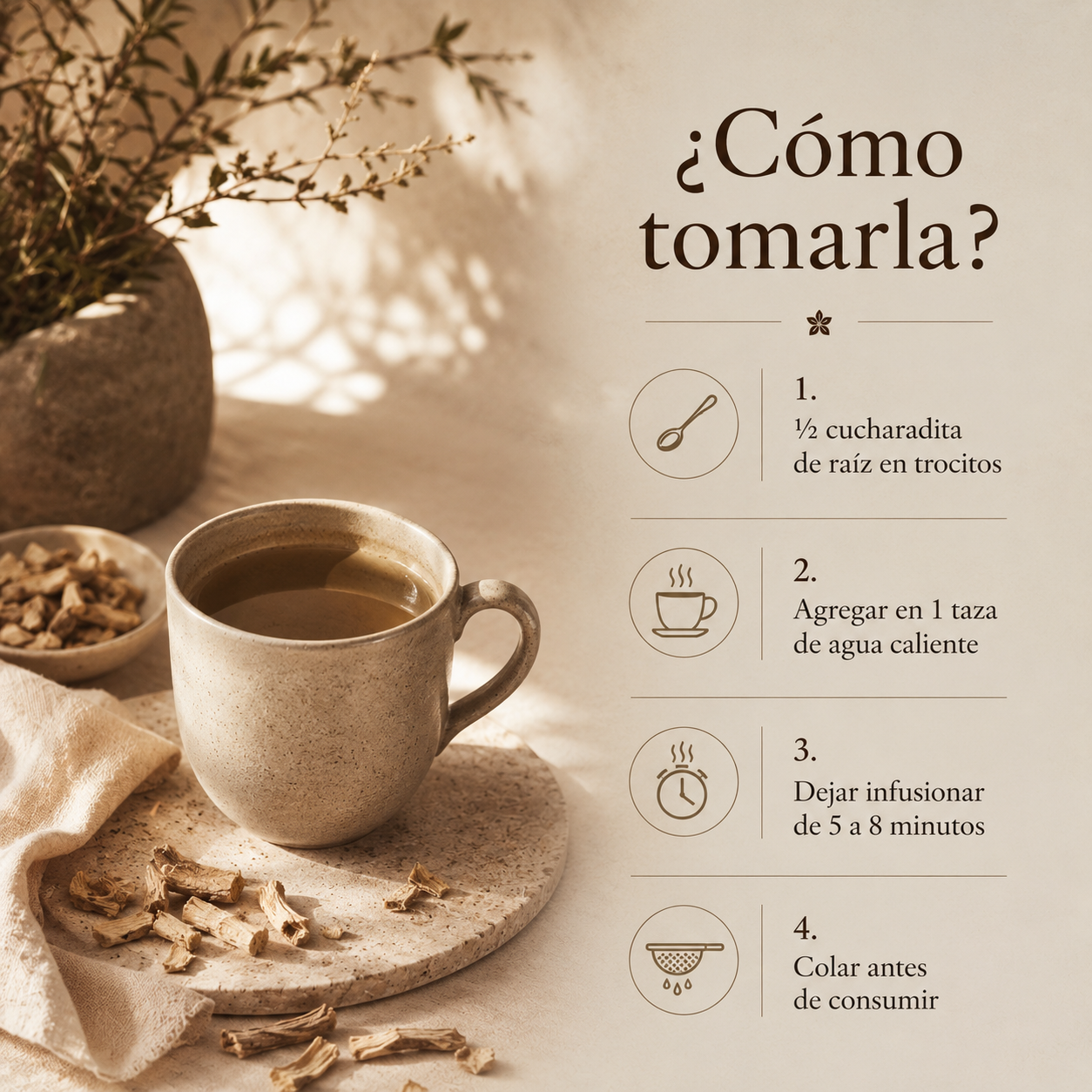 🌿 Ashwagandha Raíz para Infusión – Adaptógeno