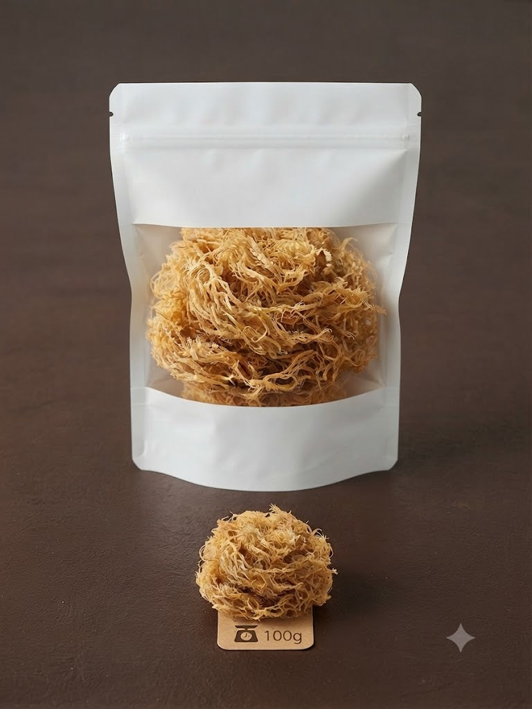 Sea Moss (Musgo Marino)