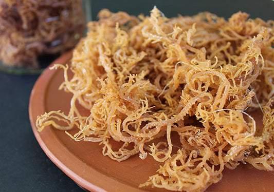 Sea Moss (Musgo Marino)
